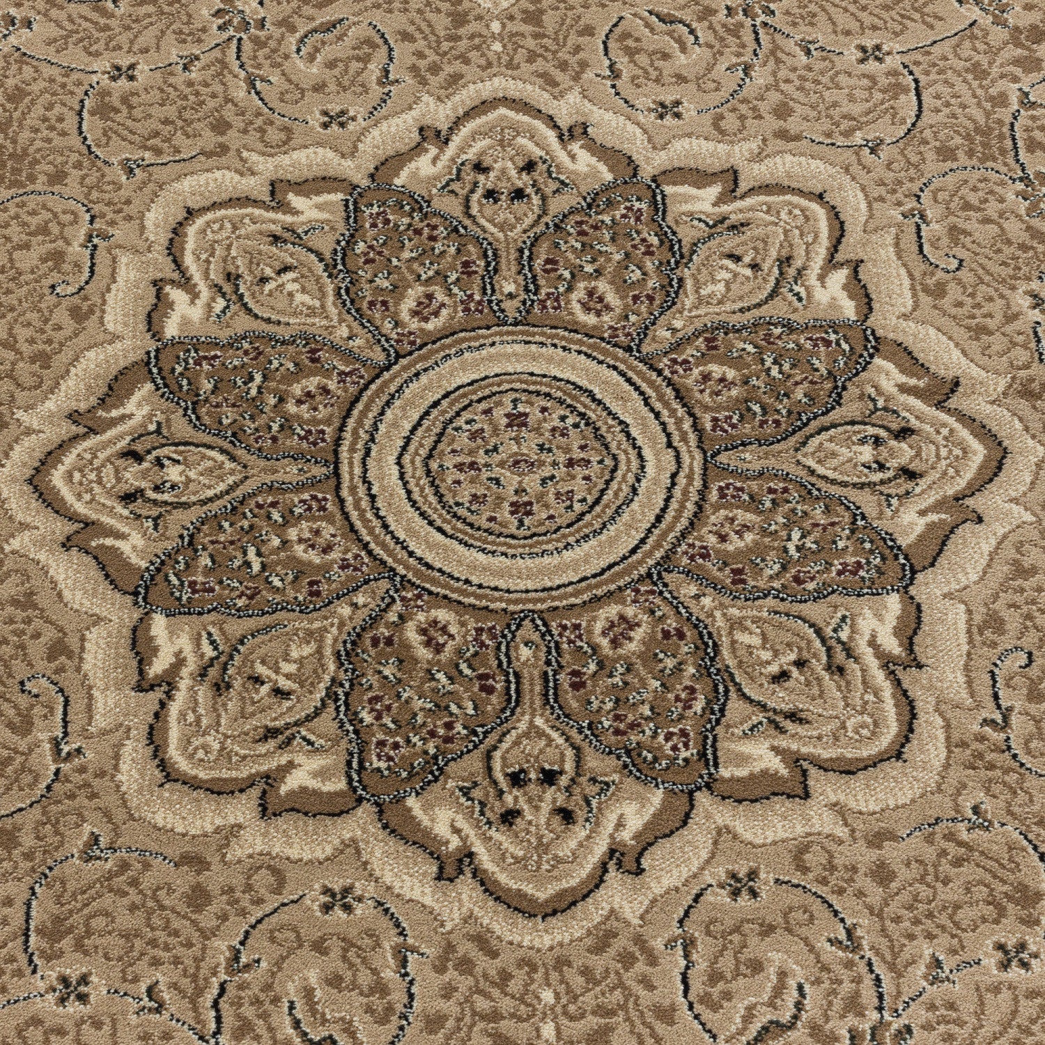 KASCHMIR 2601 BEIGE