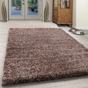 NJUT AV SHAGGY, 4500 ROSE 